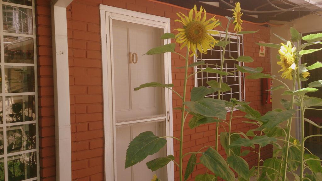 Posada Shalom Asuncion Luaran gambar